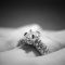 diamond rings