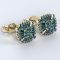 diamond earrings