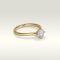 diamond rings